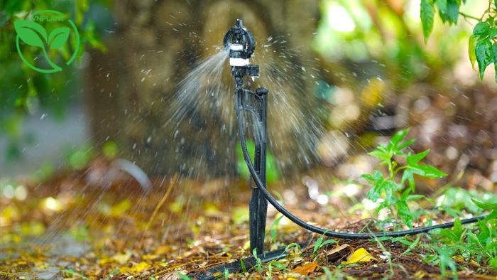 Béc Tưới Cây 360 Độ Béc Tưới Cây 360 Độ